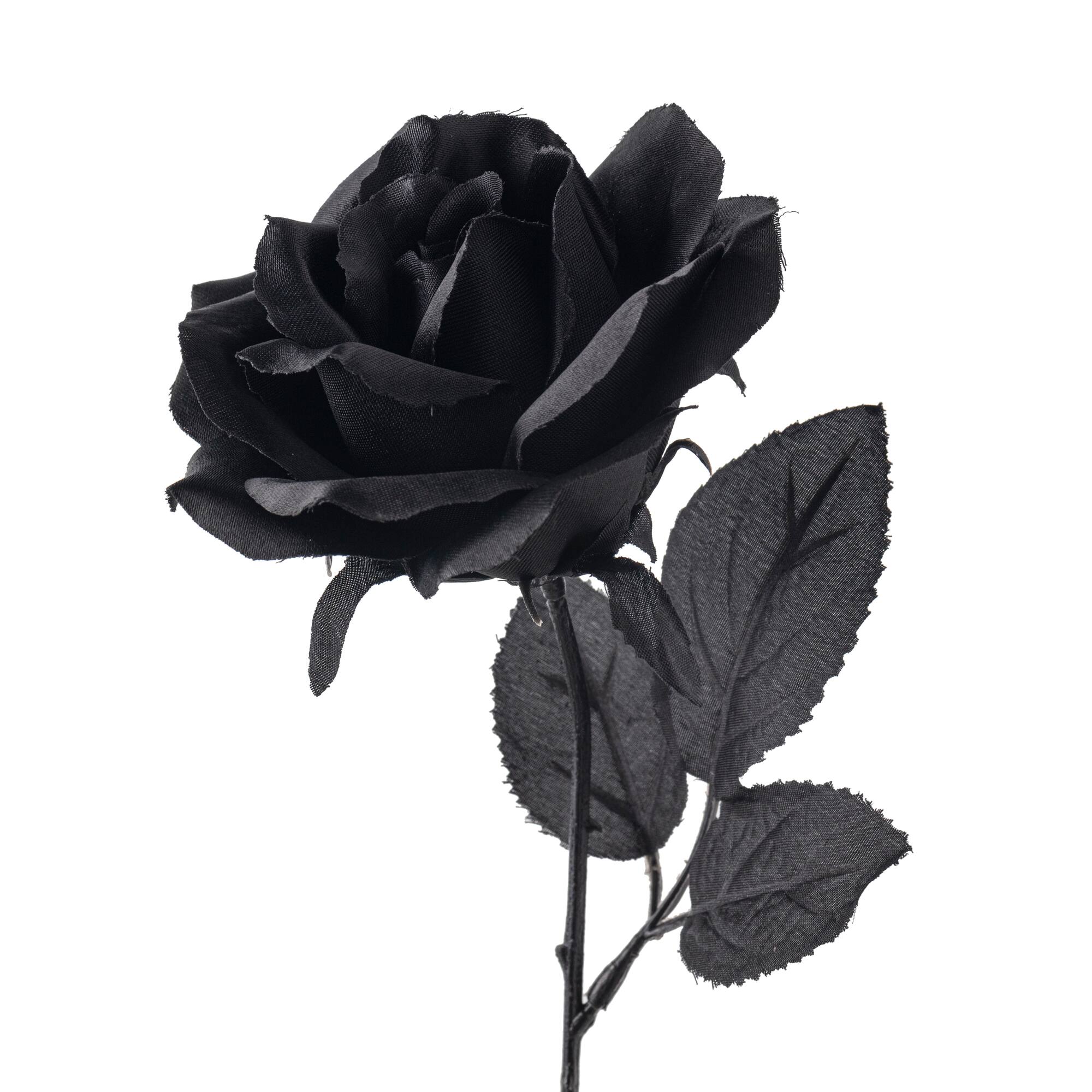 12 Pack: Black Open Rose Stem by Ashland™